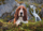 Puzzle Clementoni HQ Charlie Brown, 1000 elemente