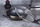 Tigan Wok Shiny Black Edition, 30 cm, sipërfaqe mermeri, me kapak, i zi me shkëlqim