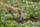 Vegël montimi Gardena Micro-Drip Assembly Tool, 7 në 1, për sistem ujitjeje, e zezë
