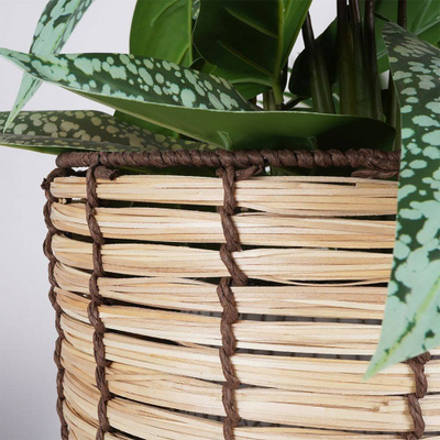 Vazo dekorative me këmbë Vilde Flower Pot Stand, 28.5cm, shportë druri, bezhë natyrale
