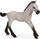 Set lodrash Schleich Horse Club Playful Foal