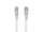 Kabllo rrjeti Lanberg PCF5-10CC-0300-S, RJ-45 RJ-45, Cat.5e 3m, gri