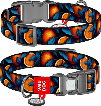 Qafore qeni WAUDOG Oranges, najlon, QR kod, XL, shumëngjyrëshe