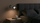 Applik muror Activejet AJE PALOMA 1P, E27, 40W, argjendtë e zezë