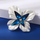 Brosh elegante Troli