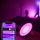 Lampë tavoline Philips Hue Bloom gen4, LED, Bluetooth, e bardhë