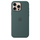Apple iPhone 16 Pro Max Silicone Case with MagSafe, Lake Green (Seasonal)