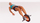 Rrotë fitnesi Body Sculpture Fitness Power BB 712, multifunksionale, me doreza dhe mbajtëse këmbësh