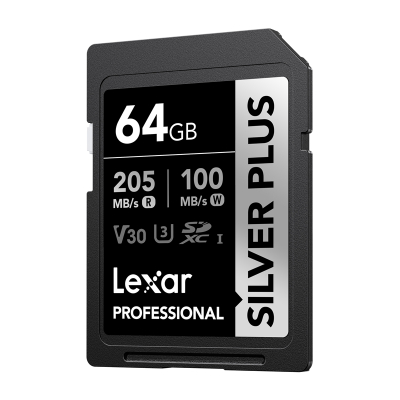 Lexar Professional SILVER PLUS SDXC 64GB kartë memorjeje