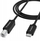 Kabllo USB Wozinsky WKDDY2S, USB-B në USB-C, 2m, USB 2.0, e zezë