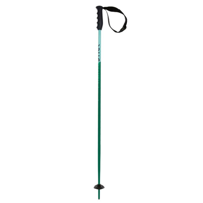 Shkopinjë skijimi Völkl JR Phantastick, gjelbër, 90cm