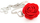 Qafore Troli Red flower