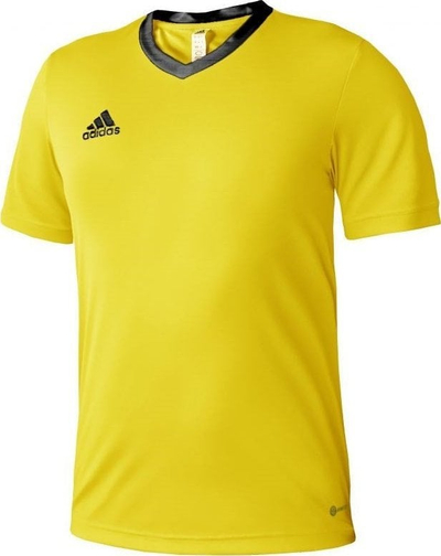 Bluzë sportive adidas Entrada 22 Jersey M HI2122, Aeroready, poliester i riciklum, e bardhë