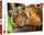 Puzzle Trefl Tiger, 500 elemente