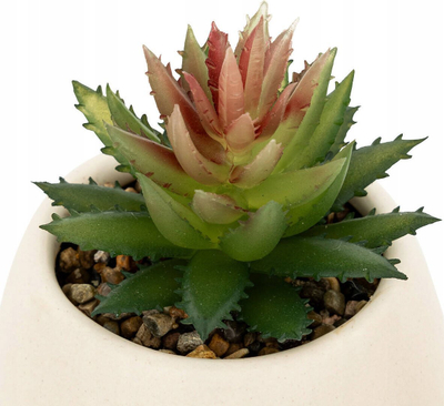 Bimë artificiale Livy Succulent, 17cm, vazo qeramike e bardhë