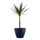 Vazo dekorative Millie Blue Outdoor Planter, e vogël, blu e errët