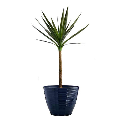 Vazo dekorative Millie Blue Outdoor Planter, e vogël, blu e errët