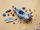 Set lodër Lego Star Wars Resistance I-TS Transport Vehicle (75293), 927 elemente 