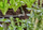 Lidhës këndor Gardena Micro Drip, 13 mm 1/2", i zi