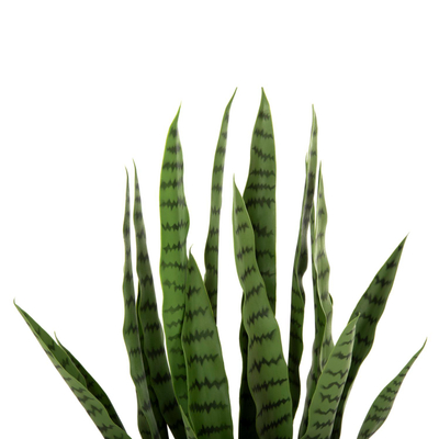 Bimë sintetike Sansevieria 90cm (HM7995), gjelbër