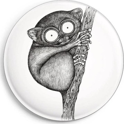 Декоративен магнет Rockforce Koboldmaki, 56 mm, тркалезен, бел