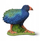 Figurine Collecta Southern Takahe, plastike, shumëngjyrëshe