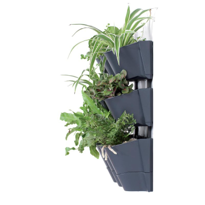 Kopsht vertikal muri Prosperplast CASCADE WALL, me sistem ujitje, plastik, antracit