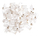 Konektor RJ45 NETRACK 105-51, UTP 8P8C, paketim 100 copa, transparent