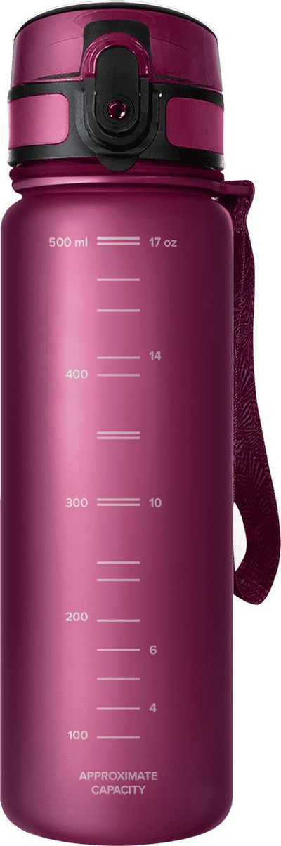 Shishe uji me filtër Aquaphor City Bottle, 500ml, Tritan pa BPA, e kuqe