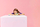 Set LEGO Friends Pet Accessories Van 42678, furgon lodër, shumëngjyrësh