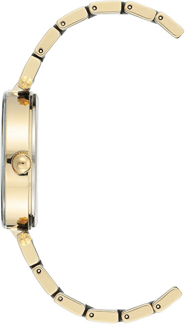 Orë dore Anne Klein Considered Solar Powered Ceramic AK/3844BKGB