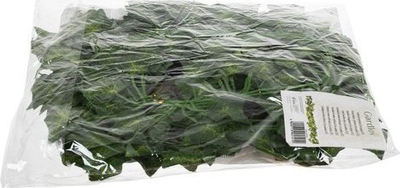 Garlandë dekorative me gjethe artificiale Ivy, 6.3m, jeshile