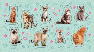 Sticker Ranok Cat Stickers 2.0, set 9 copë, shumëngjyrëshe