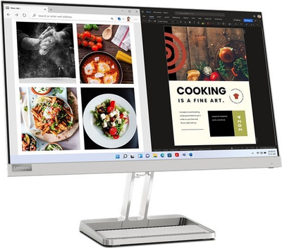 Monitor Lenovo L24i-40, 23.8", FHD IPS, 100Hz, gri
