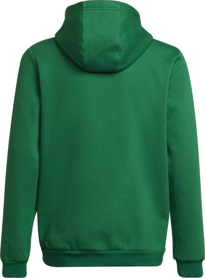 Bluzë me kapuç adidas Entrada 22 Hoody Y Jr HI2143, për kalamaj, e gjelbër
