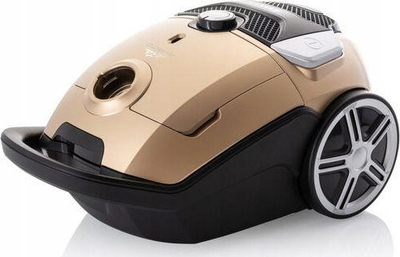 Thithëse elektrike Eta Avanto, 800 W, e artë
