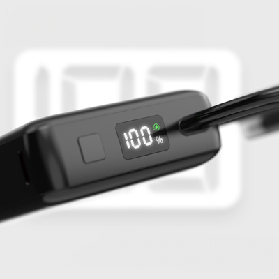 Karikues portativ PowerLocus PLB X, 10000mAh, Power Delivery, i zi