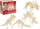 Puzzle druri “Dinosaur Skeleton”, 3D, për kalamaj, ngjyrë krem
