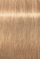 Ngjyrë për flokë Schwarzkopf Igora Royal High Lifts, 10-46, 60 ml