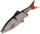 Pajisje peshkimi Savage Gear 10,5cm 8g Rudd Minnow 5 copë. (48735)