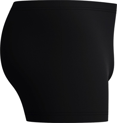 Rroba banjo për burra Speedo Medley Logo Aquashort, që s’i bën dot gjë klori, të zeza