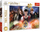 Puzzle Trefl Harry Potter, 300 pjesë, 8+, shumëngjyrëshe