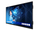 Ekran interaktiv Philips E-Line 65BDL4152E/00, 65", Android 13, 4K, i zi