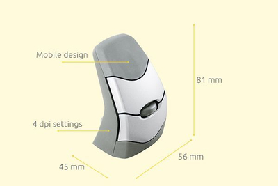 Maus pa tel BakkerElkhuizen DXT Precision, 2000DPI