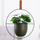 Vazo varëse dekorative Hanging Pot, me rrip lëkure, për mur ose tavan, e bardhë
