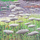 Kartolinë Susan Entwistle Frost On Ears, me zarf, shumëngjyrëshe