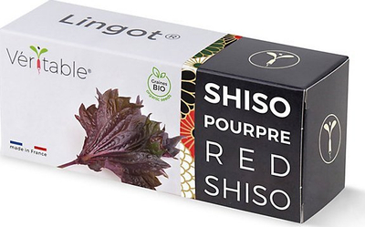 Билна капсула Veritable Lingot Shiso Purple, органска, за внатрешна градина