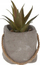 Lule artificiale për zbukurim Home Styling Collection, 8 cm, në vazo çimentoje