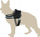 Ham për qen Dingo America Colorado R4, 54-65 cm, shumëngjyrësh