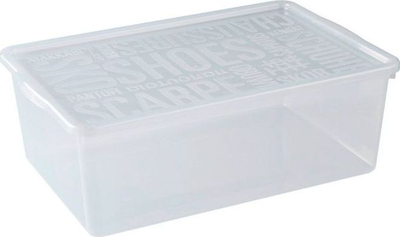 Kutia për këpucë Plast Team BASIC BOX, madhësi e madhe, transparente